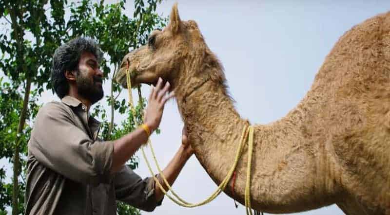 Karadu Moradu Poove Song Lyrics From Bakrid